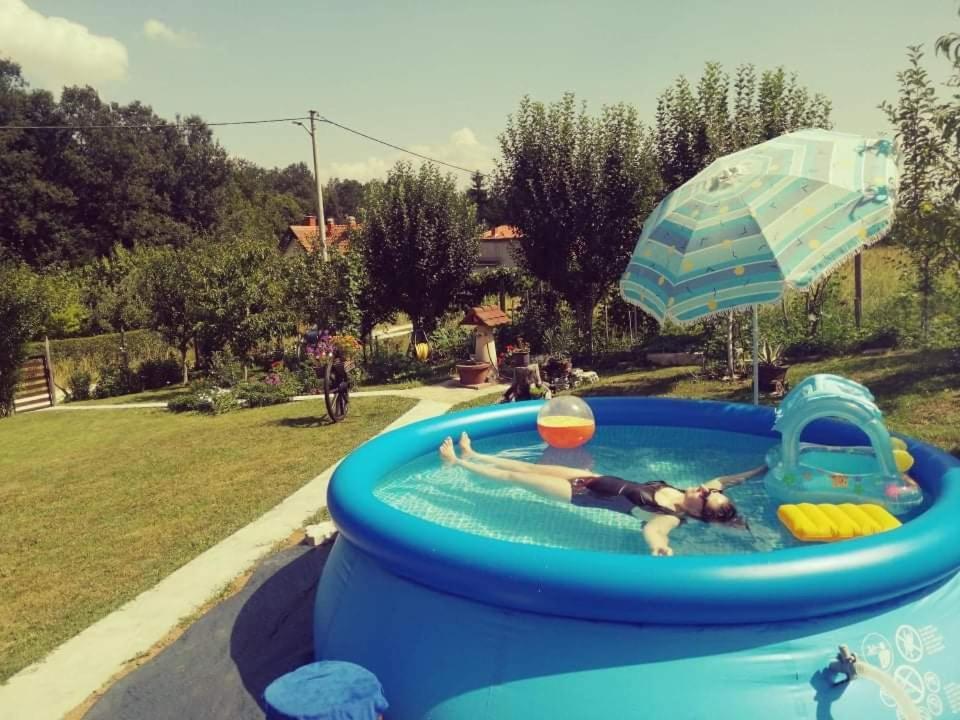 "Porodica Markovic" Borsko Jezero Beljevina Exterior photo